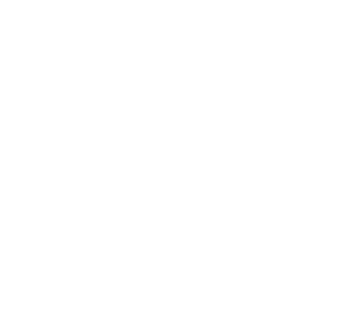 American Registry logo